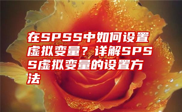 在SPSS中如何设置虚拟变量？详解SPSS虚拟变量的设置方法