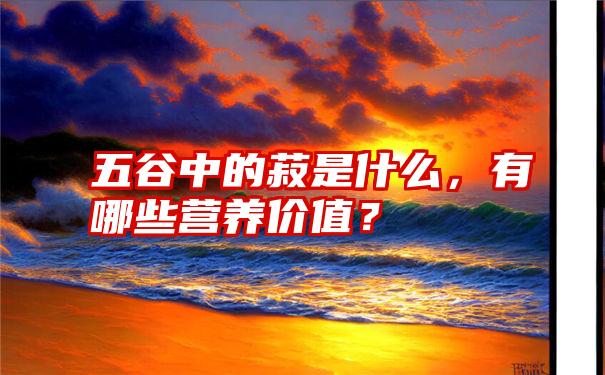 五谷中的菽是什么，有哪些营养价值？