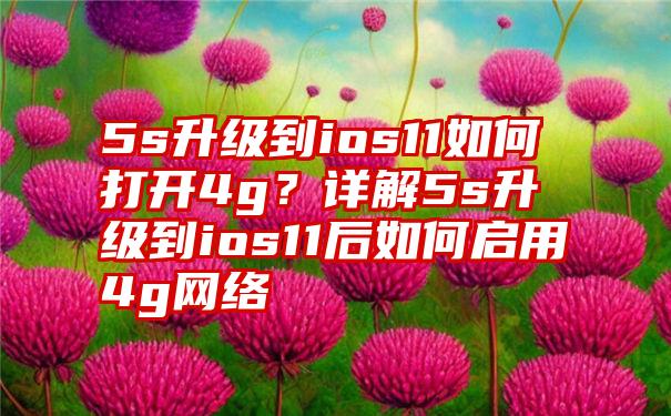 5s升级到ios11如何打开4g？详解5s升级到ios11后如何启用4g网络