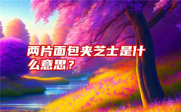 两片面包夹芝士是什么意思？