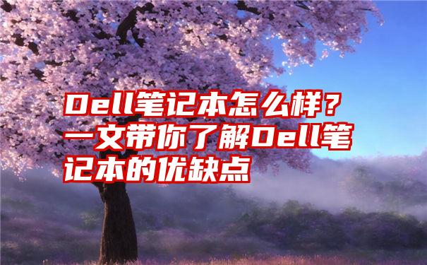 Dell笔记本怎么样？一文带你了解Dell笔记本的优缺点