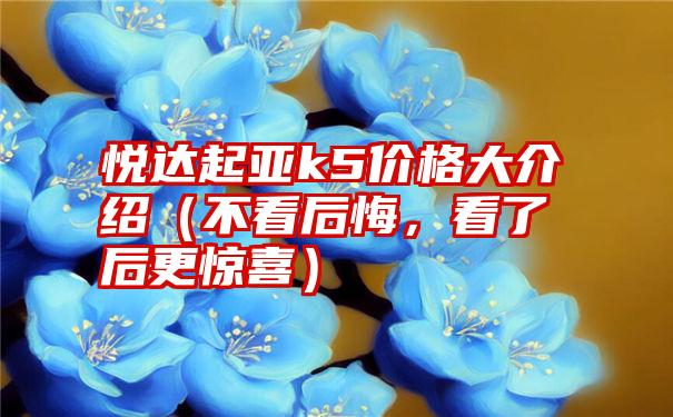 悦达起亚k5价格大介绍（不看后悔，看了后更惊喜）