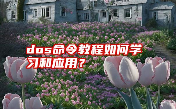 dos命令教程如何学习和应用？