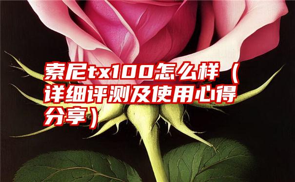 索尼tx100怎么样（详细评测及使用心得分享）