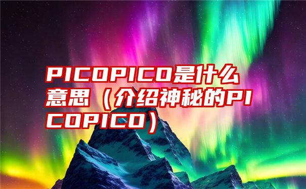 PICOPICO是什么意思（介绍神秘的PICOPICO）