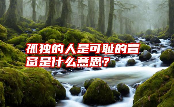 孤独的人是可耻的盲窗是什么意思？