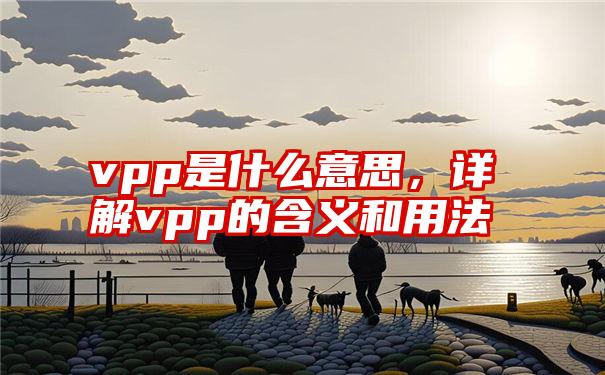 vpp是什么意思，详解vpp的含义和用法