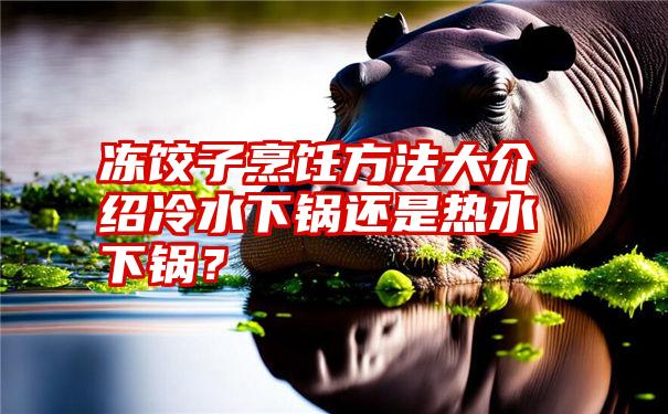 冻饺子烹饪方法大介绍冷水下锅还是热水下锅？