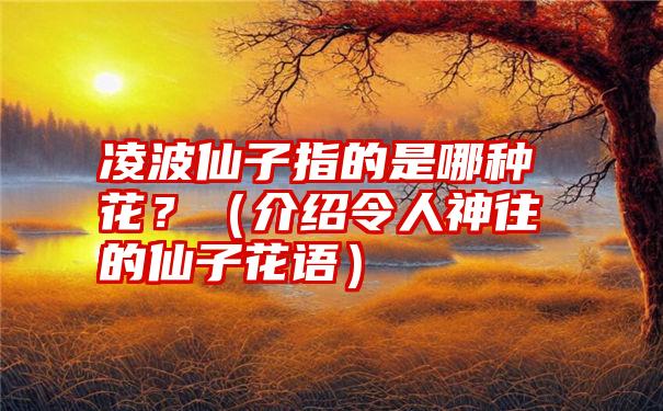 凌波仙子指的是哪种花？（介绍令人神往的仙子花语）