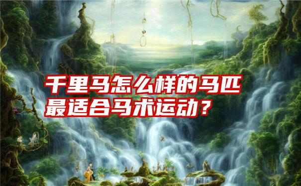 千里马怎么样的马匹最适合马术运动？