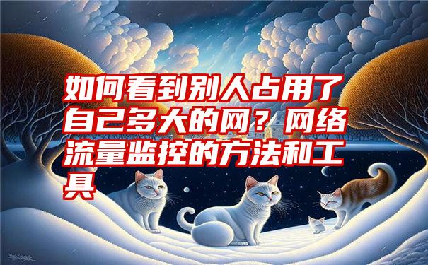 如何看到别人占用了自己多大的网？网络流量监控的方法和工具