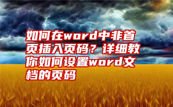 如何在word中非首页插入页码？详细教你如何设置word文档的页码