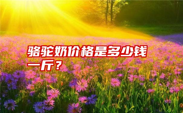 骆驼奶价格是多少钱一斤？