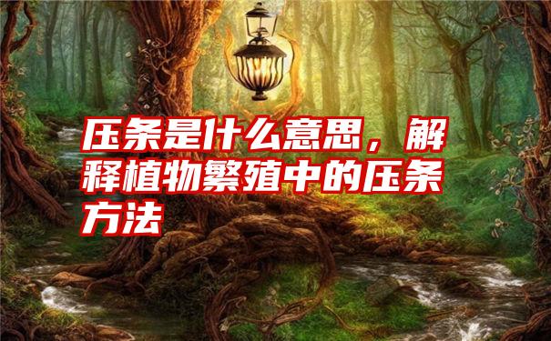 压条是什么意思，解释植物繁殖中的压条方法