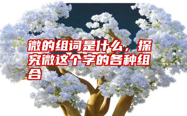 微的组词是什么，探究微这个字的各种组合