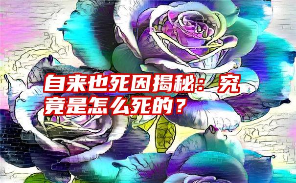 自来也死因揭秘：究竟是怎么死的？