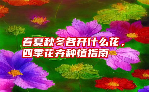 春夏秋冬各开什么花，四季花卉种植指南