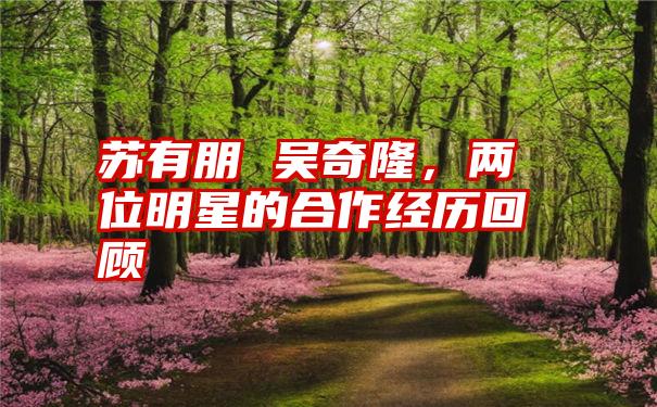 苏有朋 吴奇隆，两位明星的合作经历回顾