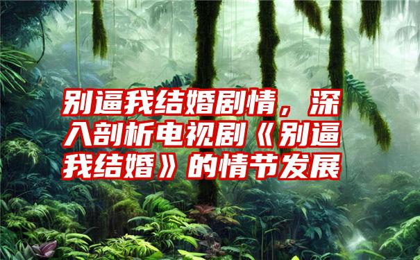 别逼我结婚剧情，深入剖析电视剧《别逼我结婚》的情节发展