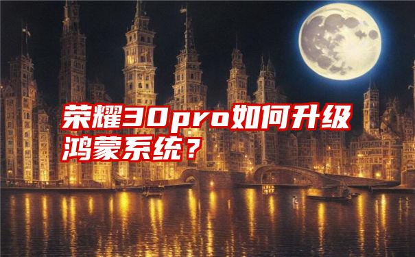 荣耀30pro如何升级鸿蒙系统？