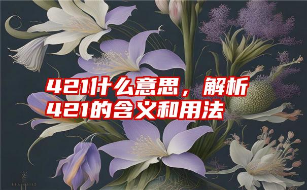 421什么意思，解析421的含义和用法