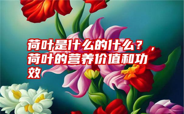 荷叶是什么的什么？，荷叶的营养价值和功效