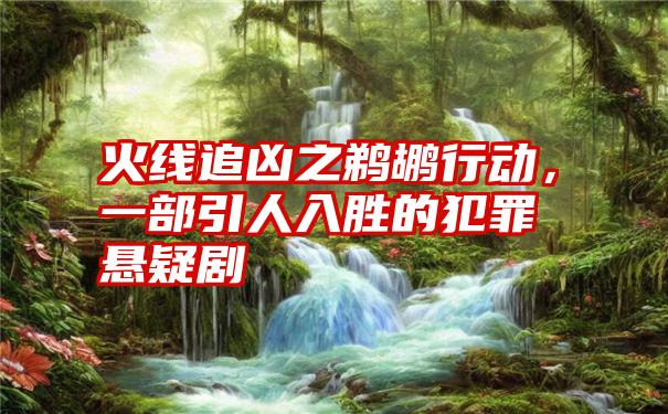 火线追凶之鹈鹕行动，一部引人入胜的犯罪悬疑剧