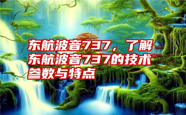 东航波音737，了解东航波音737的技术参数与特点