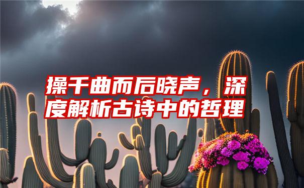 操千曲而后晓声，深度解析古诗中的哲理