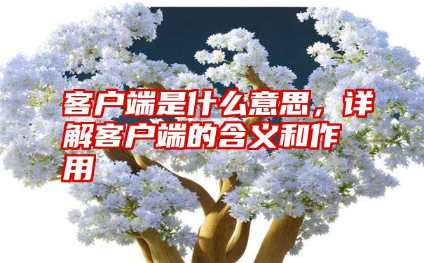 客户端是什么意思，详解客户端的含义和作用