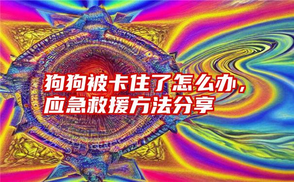 狗狗被卡住了怎么办，应急救援方法分享