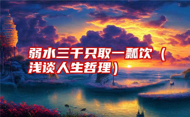 弱水三千只取一瓢饮（浅谈人生哲理）