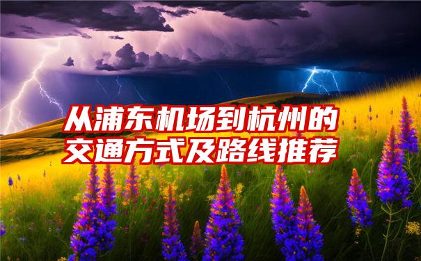 从浦东机场到杭州的交通方式及路线推荐