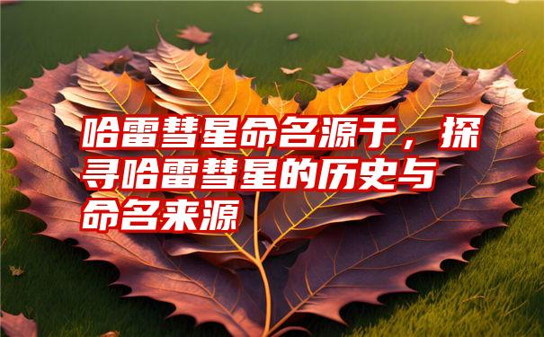 哈雷彗星命名源于，探寻哈雷彗星的历史与命名来源