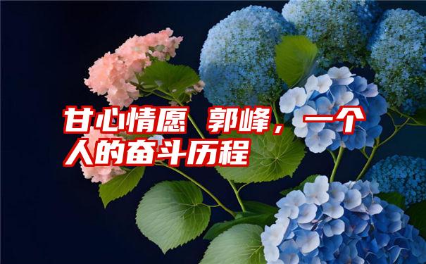 甘心情愿 郭峰，一个人的奋斗历程