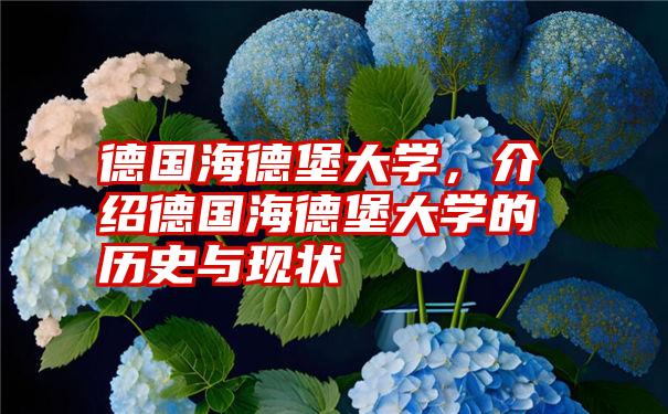 德国海德堡大学，介绍德国海德堡大学的历史与现状