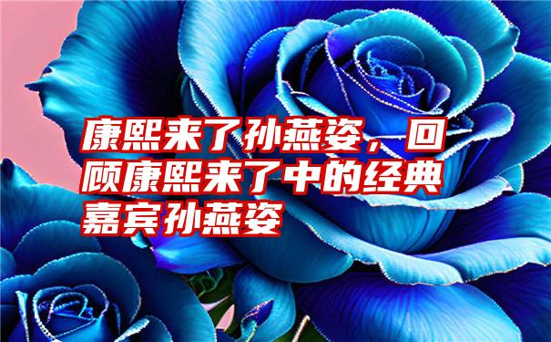 康熙来了孙燕姿，回顾康熙来了中的经典嘉宾孙燕姿