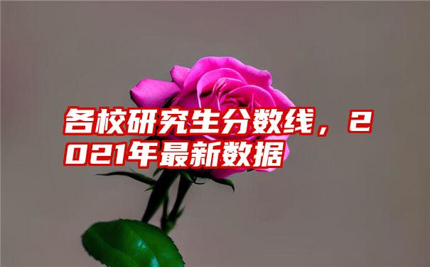 各校研究生分数线，2021年最新数据