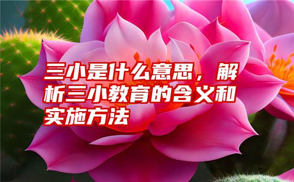 三小是什么意思，解析三小教育的含义和实施方法