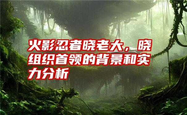 火影忍者晓老大，晓组织首领的背景和实力分析