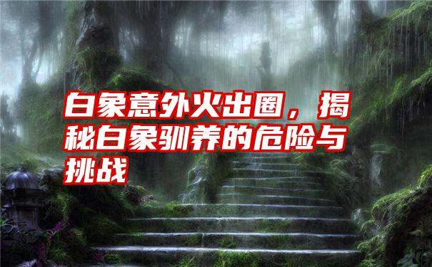 白象意外火出圈，揭秘白象驯养的危险与挑战