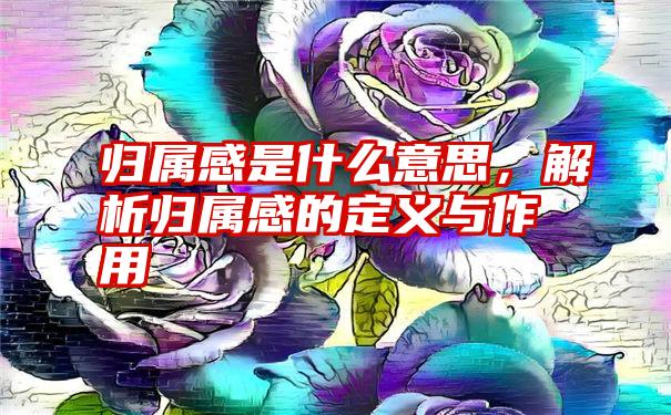 归属感是什么意思，解析归属感的定义与作用