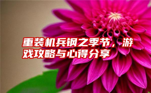 重装机兵钢之季节，游戏攻略与心得分享