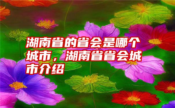 湖南省的省会是哪个城市，湖南省省会城市介绍