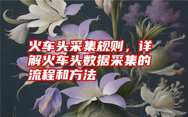 火车头采集规则，详解火车头数据采集的流程和方法