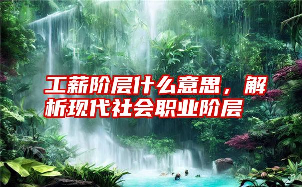 工薪阶层什么意思，解析现代社会职业阶层