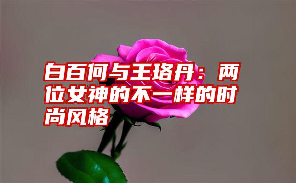 白百何与王珞丹：两位女神的不一样的时尚风格