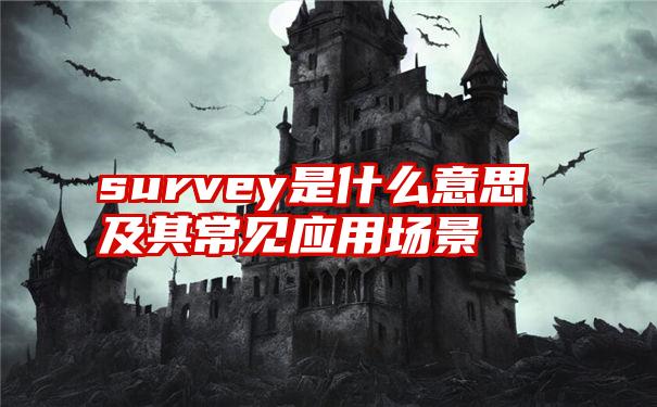 survey是什么意思及其常见应用场景