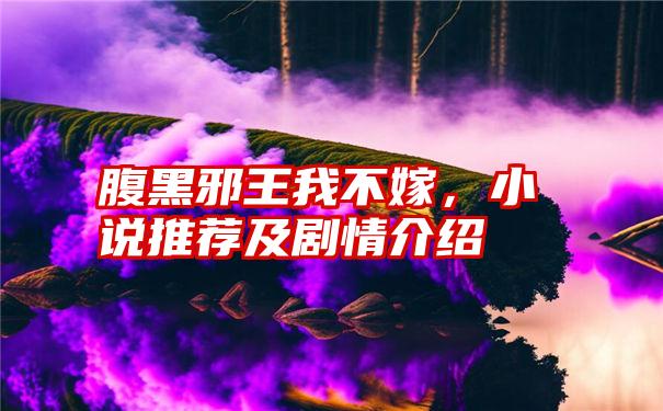 腹黑邪王我不嫁，小说推荐及剧情介绍