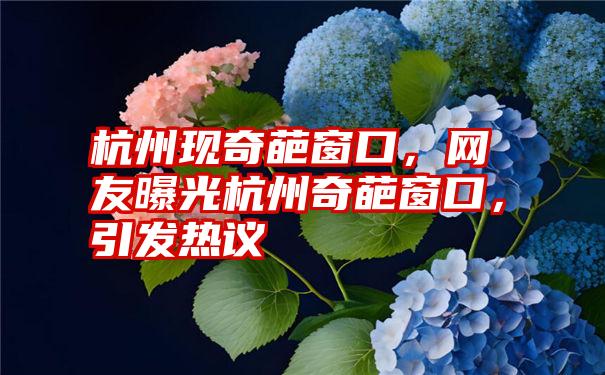 杭州现奇葩窗口，网友曝光杭州奇葩窗口，引发热议